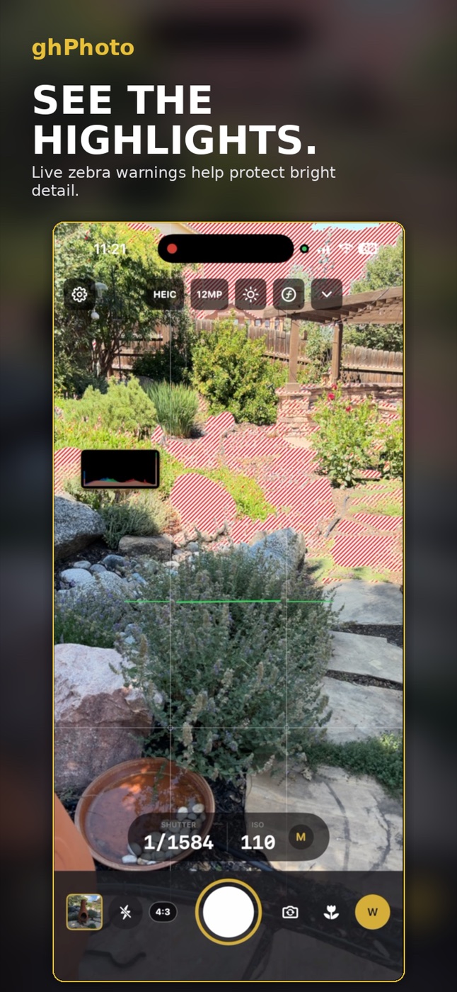 ghPhoto live zebra warnings